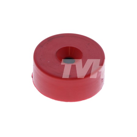 MAGNET