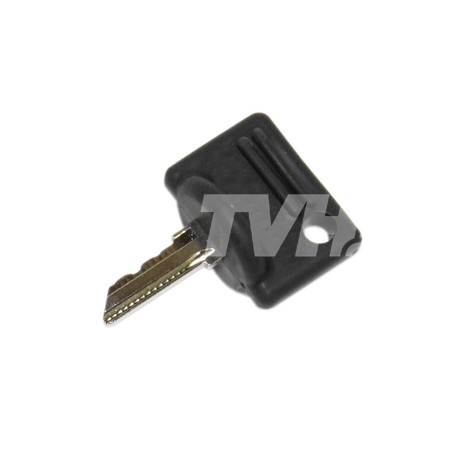 SCHLÜSSEL FÜR SCHLOSS